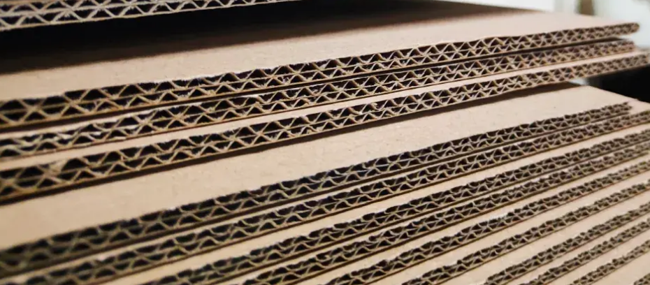 Chapas de Papelão